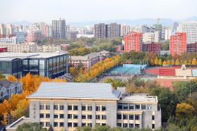 Department of International Affairs
