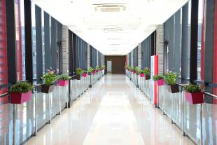 Department of Public Administration & Policy h3